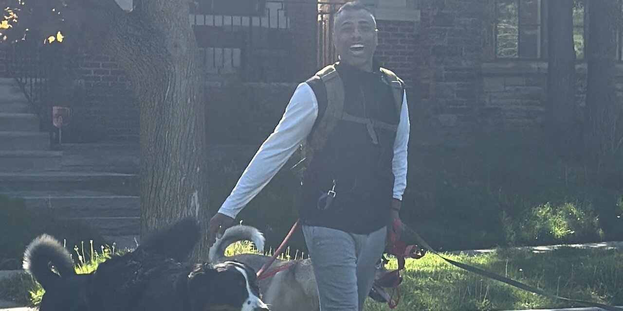 Dog walking