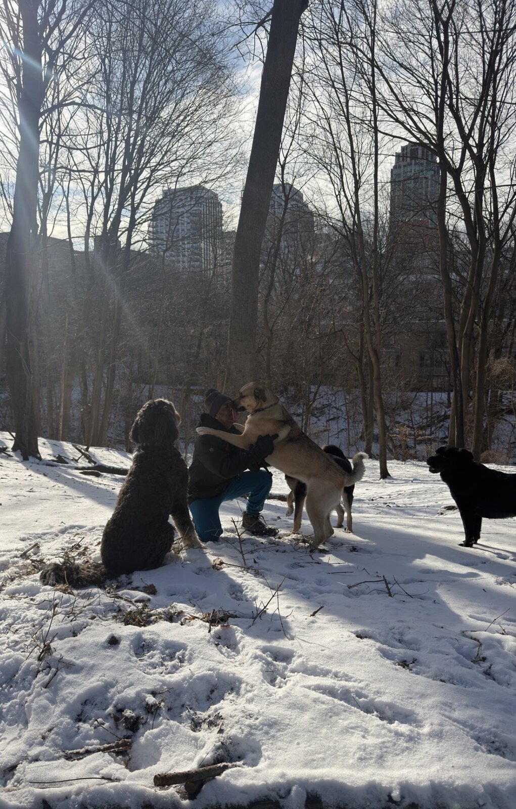 Dog Days photo gallery — image three