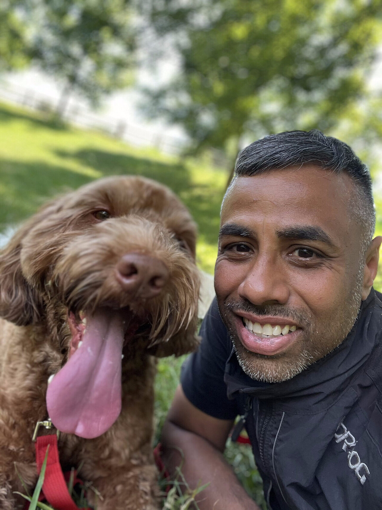 Dog looking happy